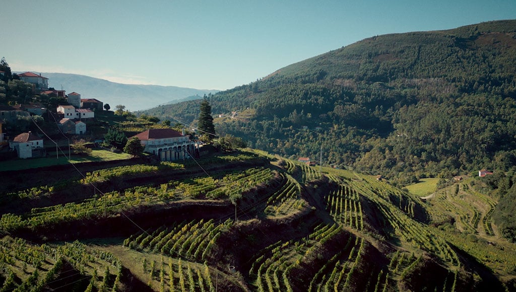 Paço de Teixeiró|David Baverstock|Quinta do Côtto|Retiro Novo|winebottles