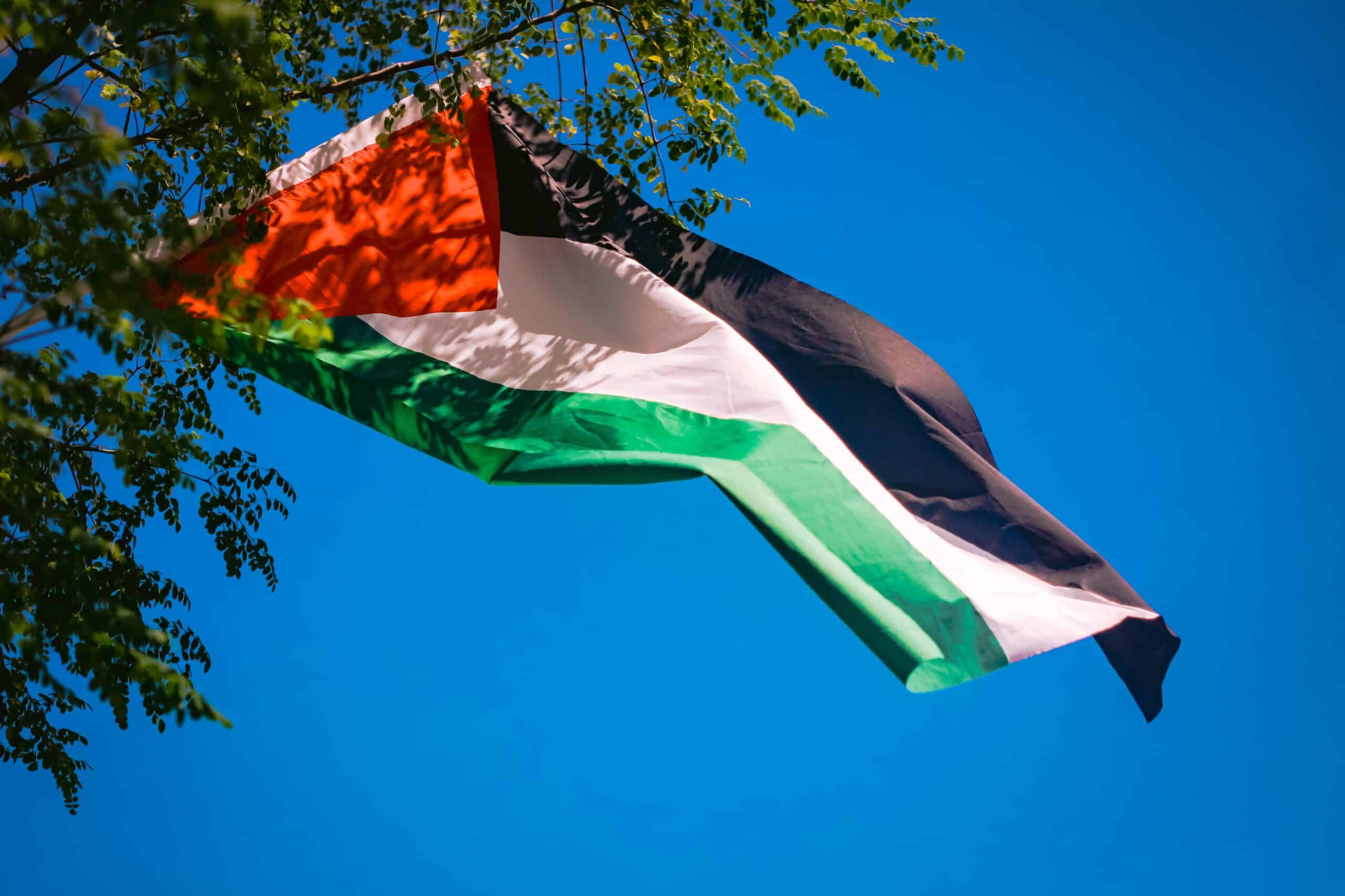 Palestine flag