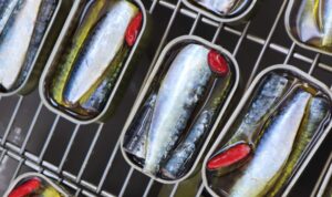 Algarve fish canning factory opens for visits
