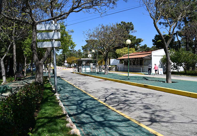 Monte Gordo campsite “completely booked” for first time in decade|Monte Gordo campsite “completely booked” for first time in decade
