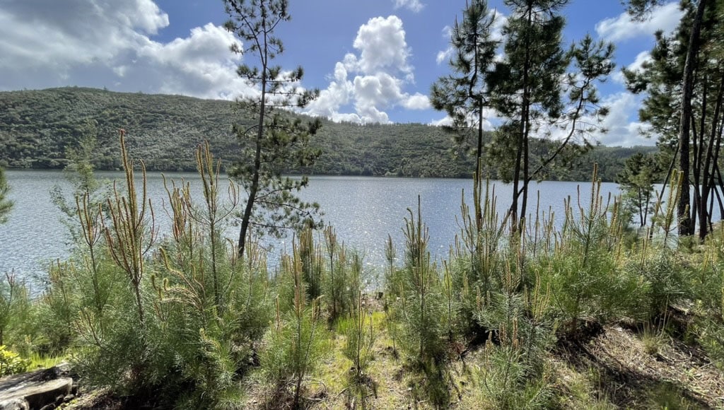 Parque de Merendas overlooking the reservoir at Barragem do Cabril, Leiria