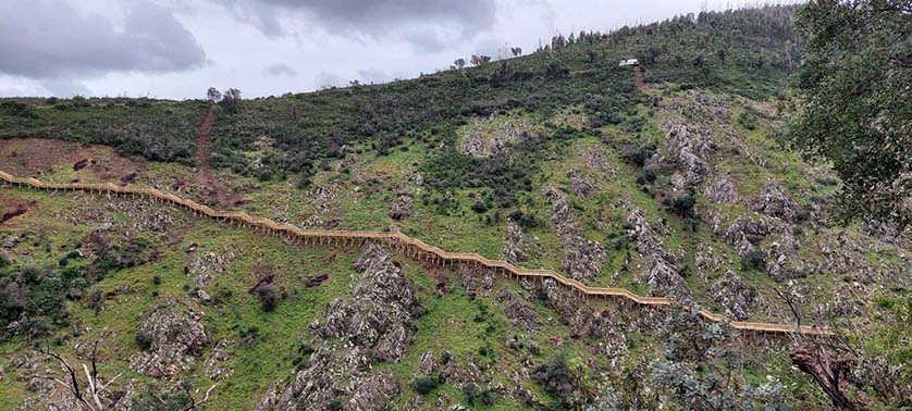 Passadico Alferce||Passadico Alferce