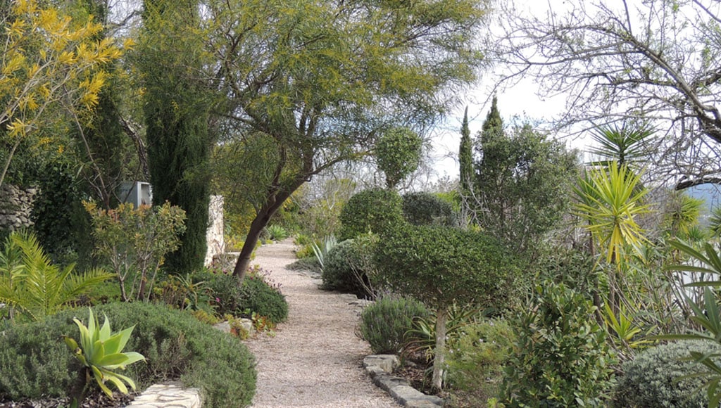Path in greenery|Gravel garden in Italy|Leuco red on path|Path lined with iris|Side path|Stone paths|Filippi garden