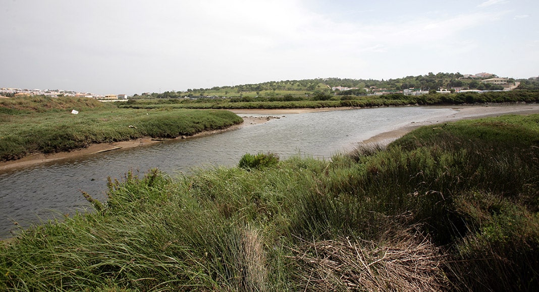 Lagos approves town plan for Paul de Lagos wetland