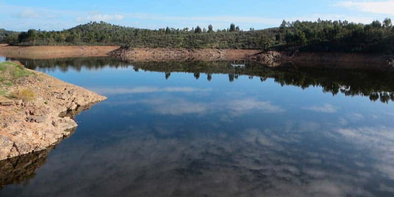 Lack of water in Sado river threatens Alentejo rice production
