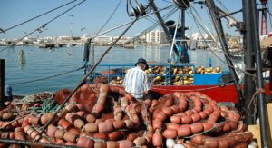 Portuguese fishermen see quotas increased for mackerel, monkfish, plaice and black scabbard
