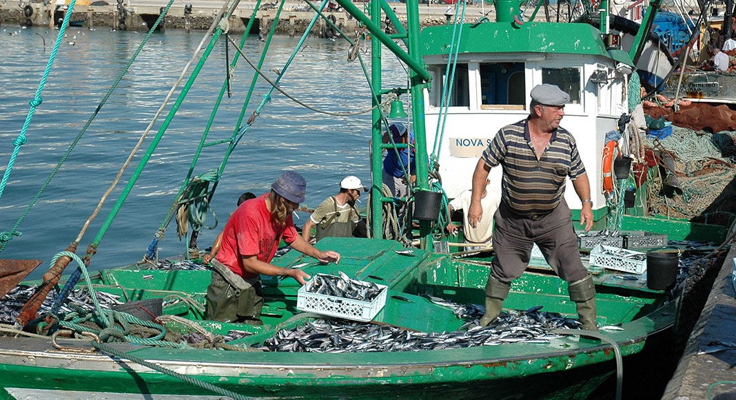 Algarve fishing crisis looms due to rising fuel prices|Minister pledges modernisation of 70 fishing vessels across country