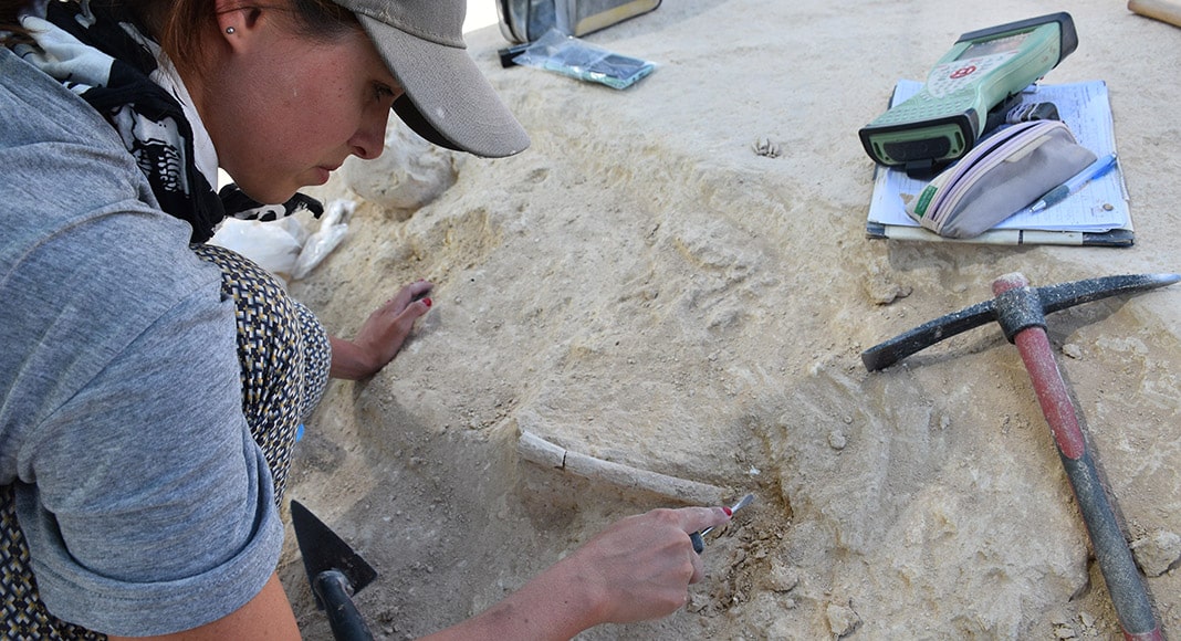 Unearthing the past|Islamic silo where the skeletal remains of a cow were found|Islamic and prehistoric graves were found||Archaeologist Catarina Furtado holding a Chalcolithic vase|Anthropologist Eduarda Silva with a skull|Francisco Correia, Andreia Avelino, Eduarda Silva (anthropologist), António Cavaco, Ana Pereira, Lara Duque, Sofia Nogueira (anthropologist), João Hasselberg and Catarina Furtado|17th century Ermida de São Pedro