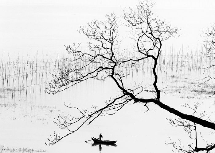 "Symbiosis" photo exhibition in Loulé