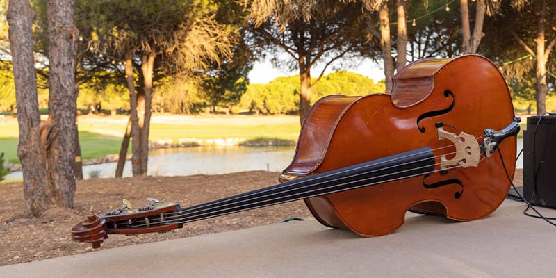 Photo of a double bass at the Vale Real experience are where the Vale do Lobo Summer Music Sessions will take place|Photo of the Portuguese singer Áurea|