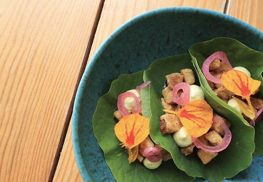 Tempeh tacos|Damiano, Rosalba and Sergio|Natural wine|Roasted salad|'Simple, with no pressure'