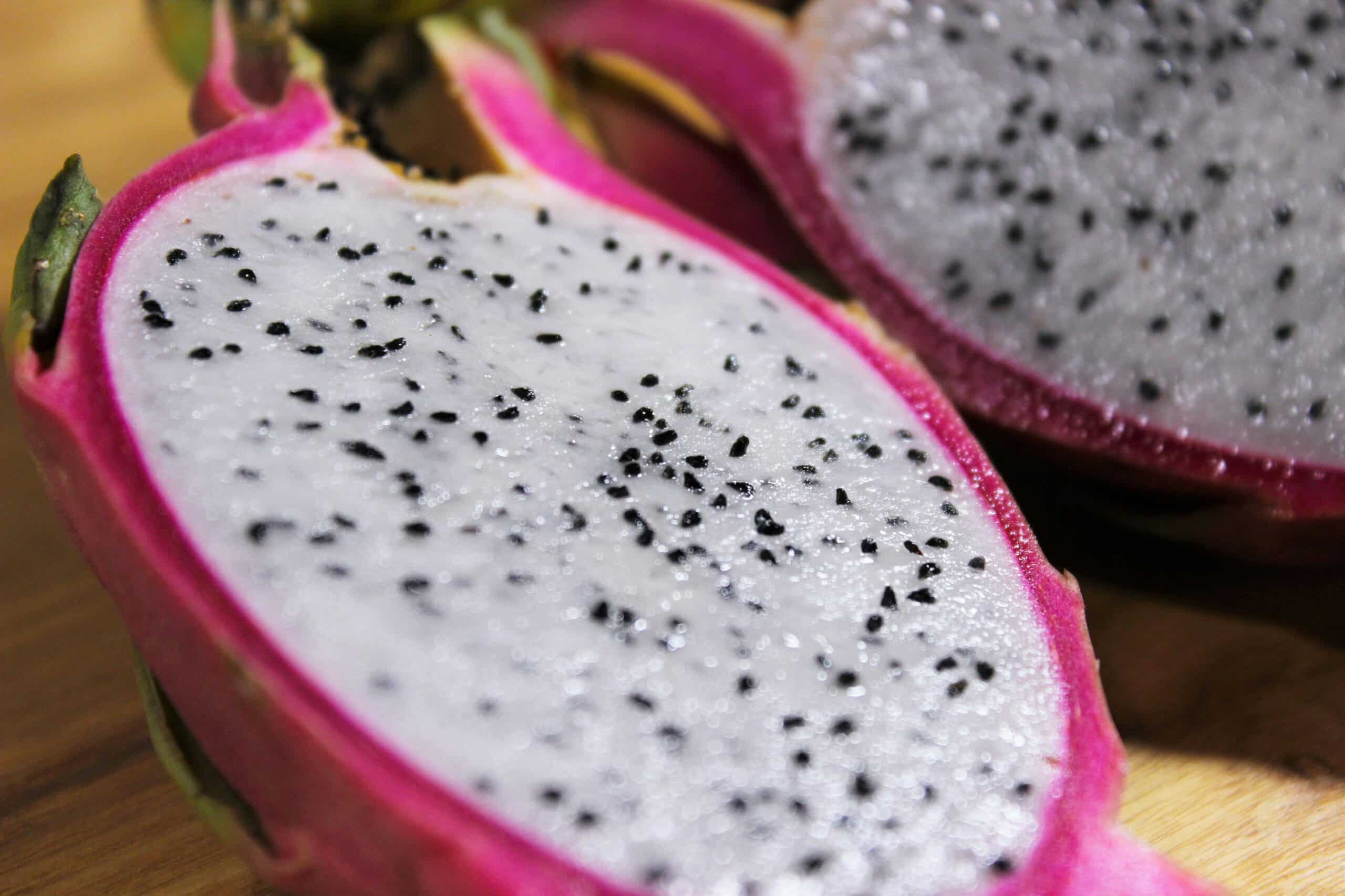 Pitaya: the new golden fruit for Algarve farmers