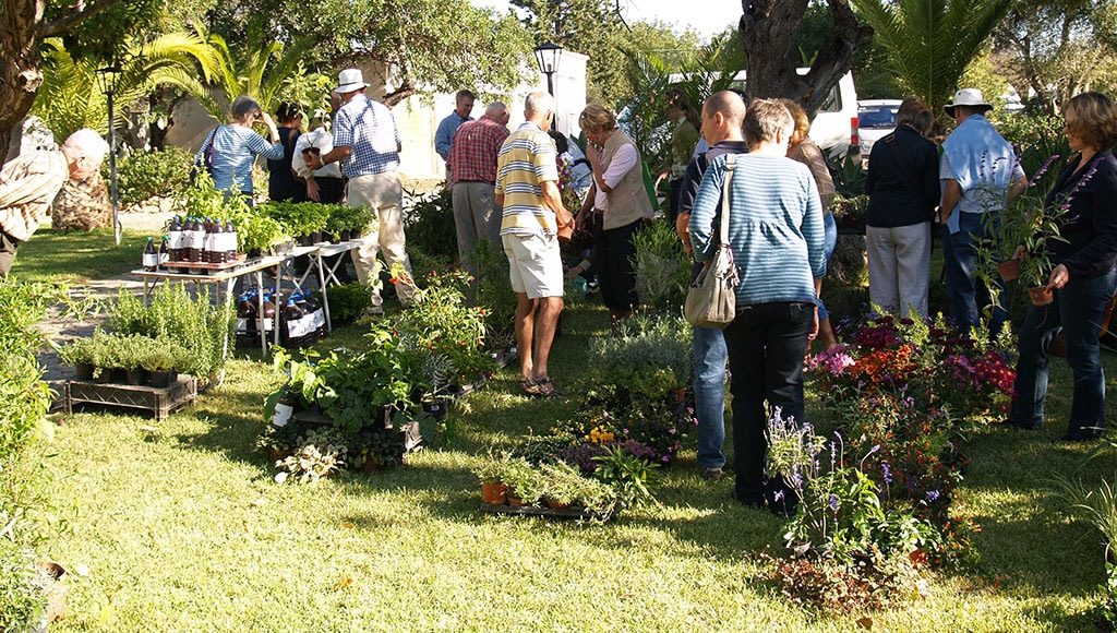 Plants for sale|Shopping at the garden fair