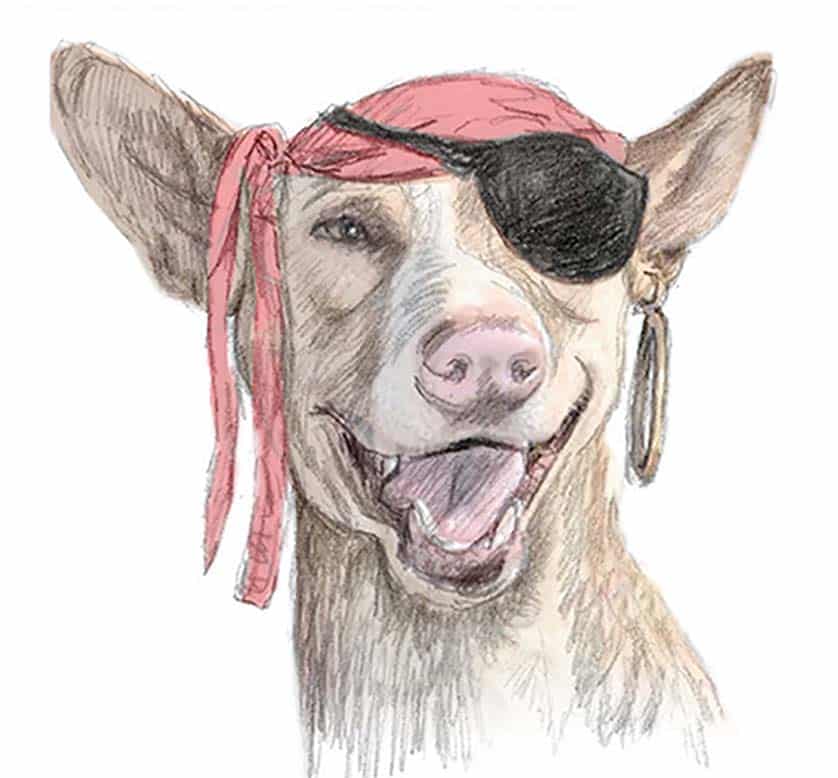 Pongo the pirate|New Theatre|Old theatre|Pessoa in Bishop's Square|Tavira map|The pirate menace