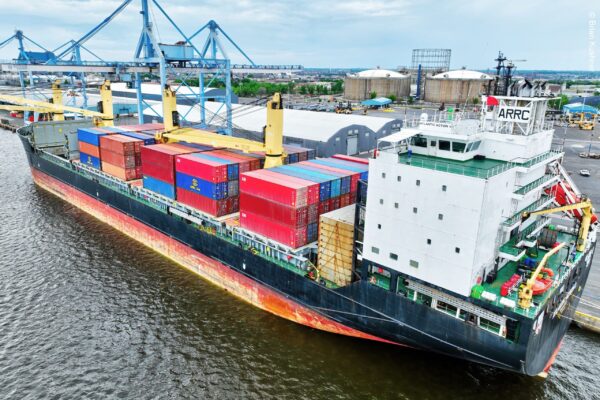 Portugal among countries “laundering Russian timber”