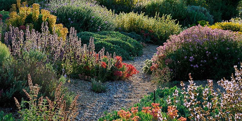 The Dry Gardening Handbook|The Dry Gardening Handbook
