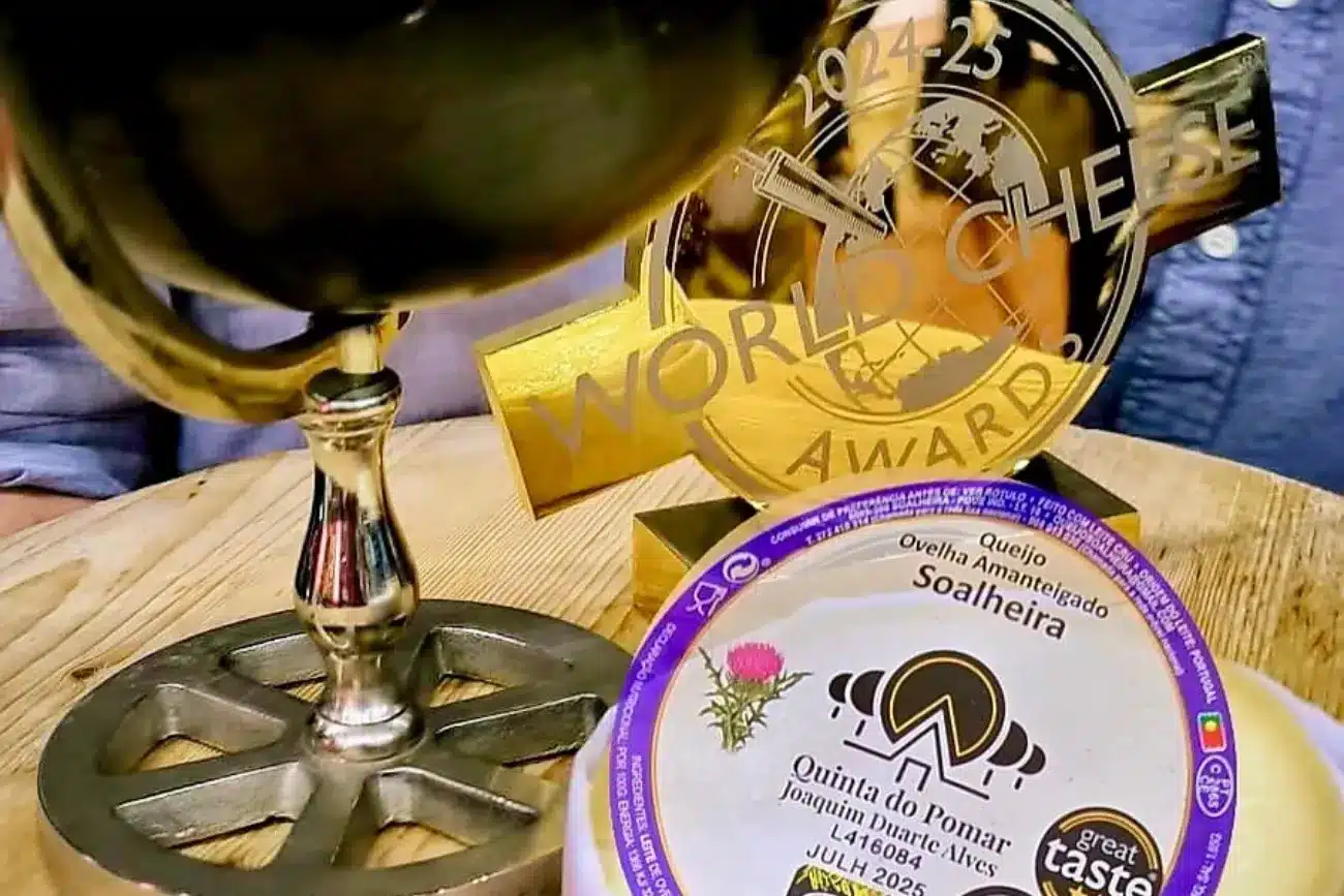 Portuguese sheep’s milk cheese voted “best in world”