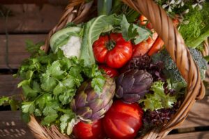 Tavira farm visits promote organic farming