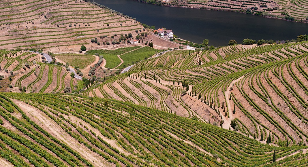 Quinta do Vesúvio - Symington|Niepoort - history in a bottle|Niepoort Wines|Steam train in Douro Valley, Portugal|Vineyards in the Valley of the River Douro, Portugal|Traditional rabelo boats with barrels of Port wine on the Douro river, Ribeira and Dom Luis I or Luiz I iron bridge on the background, Porto, Portugal.|with a traditional boat called "barco rabelo"