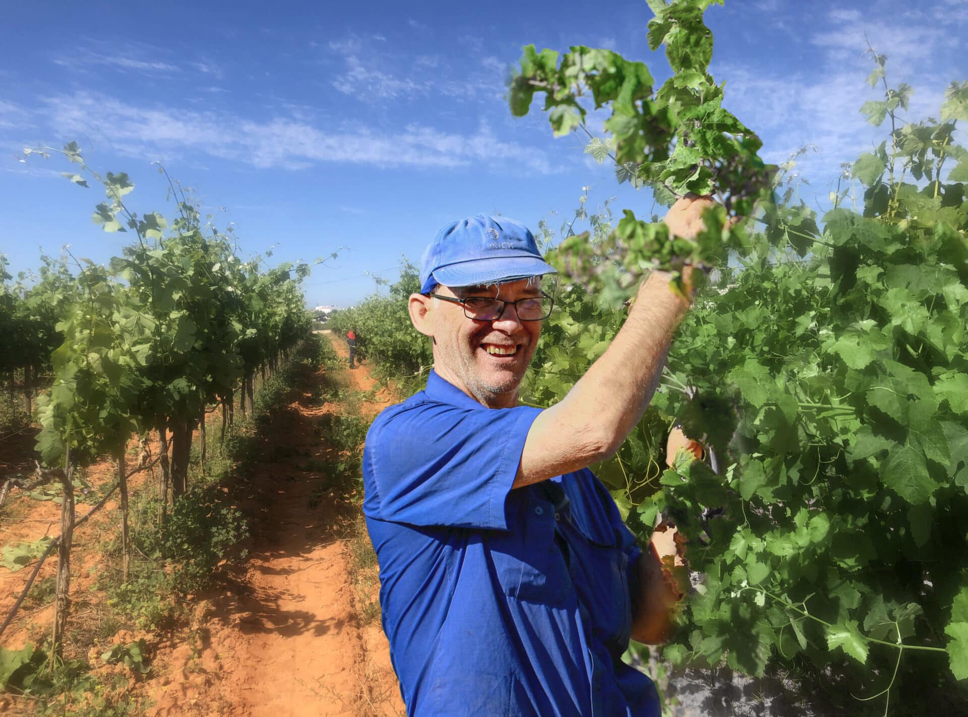 Quinta dos Vales Manuel Winemaker Pick|Quinta dos Vales Heidi Wine Private Winemaker Experience|Quinta dos Vales the private winemaker Experience room 2|