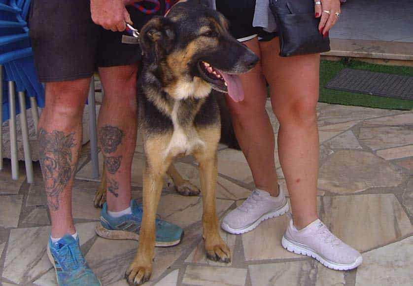Rafa|Pop-Up at ‘Manu’s’ –‘Bargain time’|Gary, Wendy and ‘Rafa’