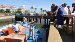 Sardine fishing season starts today