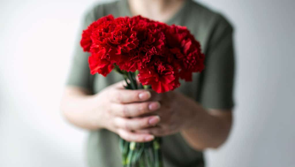 Red Carnation - chay-tessari-unsplash