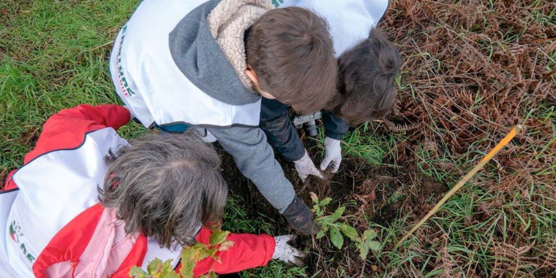 Volunteers plant over 2,000 trees in fire-ravaged Monchique|Volunteers plant over 2,000 trees in fire-ravaged Monchique|Volunteers plant over 2,000 trees in fire-ravaged Monchique|Volunteers plant over 2,000 trees in fire-ravaged Monchique