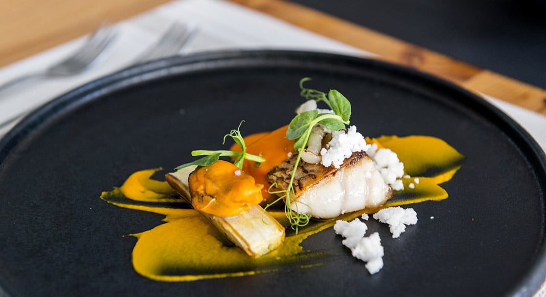 Aurora restaurant|Aurora restaurant|Aurora restaurant|Aurora restaurant|Aurora restaurant