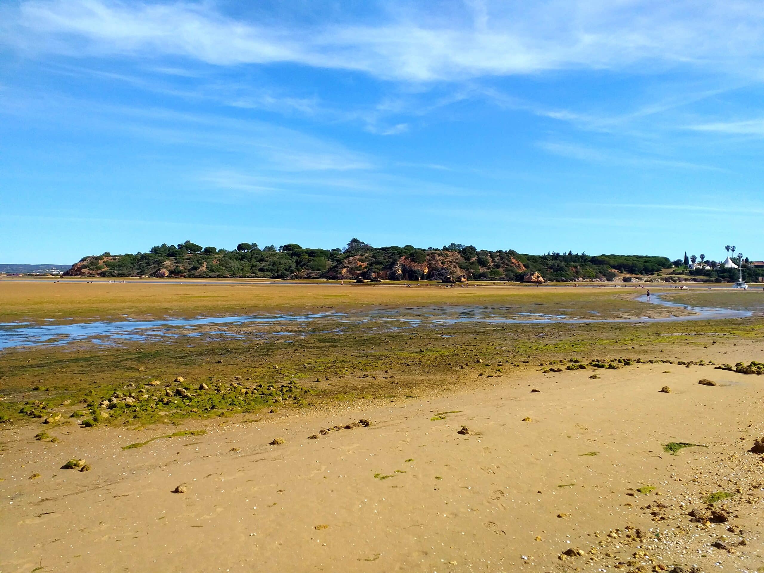 Ria de Alvor (Photo: Inês Lopes/Open Media)|Ria de Alvor (Photo: Inês Lopes/Open Media)