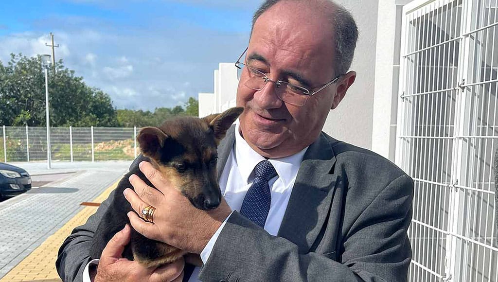 Faro City Council has joined the "Cheque Veterinário" (Veterinary Check) programme
