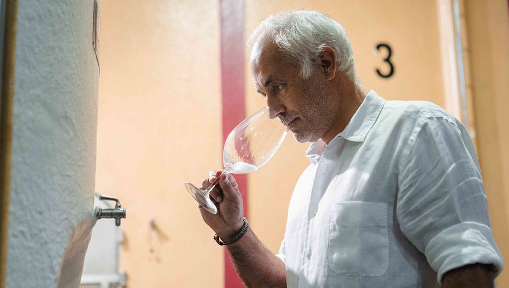 Rui Cunha, Winemaker of the Year 2022|Bacalhau (codfish) with orchard flavours|Carl's wine extravaganza|Covela Escolha Branco 2012|Kumquat and pomegranate cheesecake and espresso caramel dessert duo|Rock samples from the vineyard|Tenderloin steak with butternut swirls