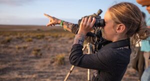 Birdwatching festival attracts over 1,100 to Sagres