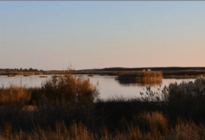 NGO’s welcome massive pressure to turn Algarve coastal wetland areas into natural reserve