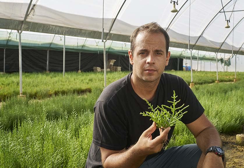 Ricardo Coelho, Salivitae|Salicornia|Oyster served with Salicornia vinegar, lemon drops, chopped onion, fermented oyster sauce and a shoyu sauce infused with orange zest topped with fried moray eel and fresh Salicornia|Grilled crab rice stew with seasoned Salicornia|Chef João Marreiros