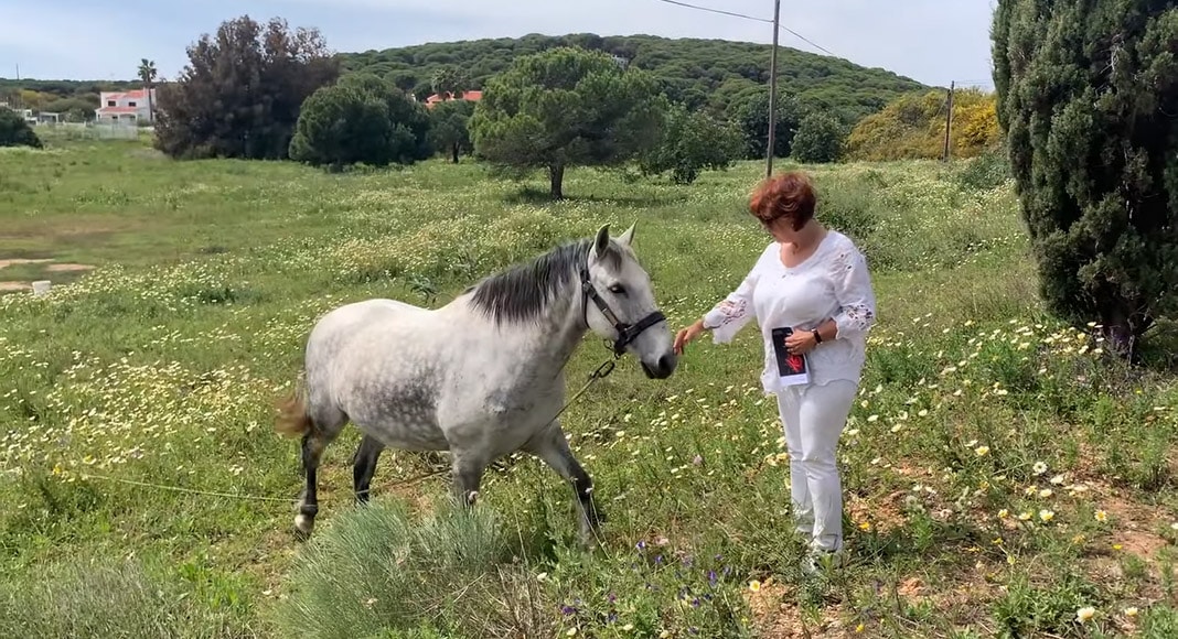 Algarve poem brought to life in YouTube video|Sandra Penny Callum and Veronica Ondrejech