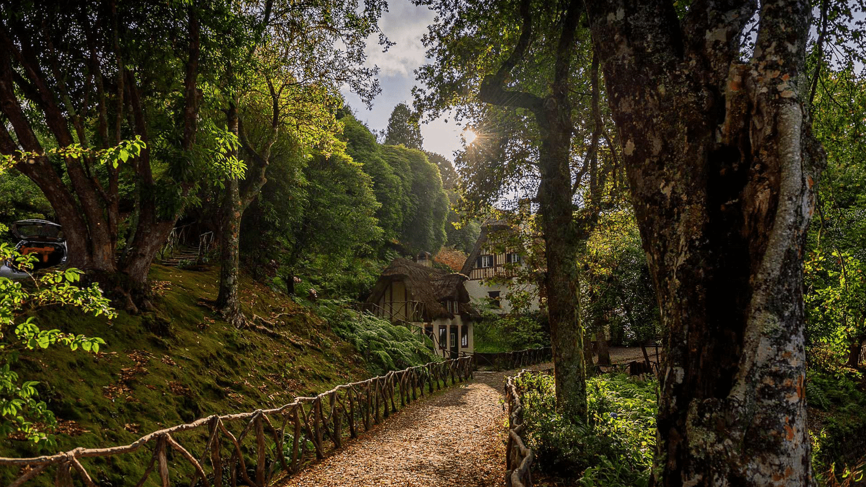 Santana Parque Florestal das Queimadas.jpg