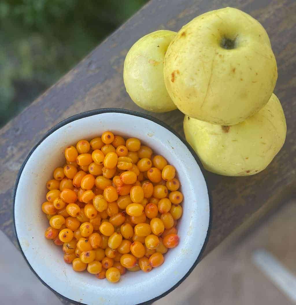Sea buckthorn berries and apples|Sea buckthorn brunches