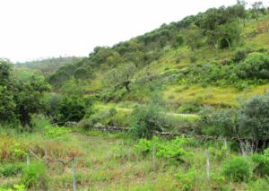 AAA lecture: soils, archaeology and us