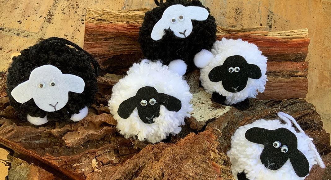 |Christine Wright and her cute sheep