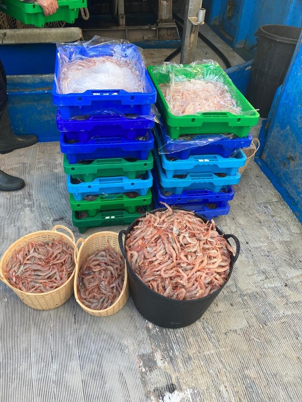 fishing illegally off Algarve coast