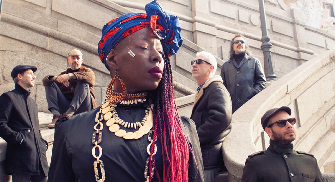 Shirley Davis & The Silverbacks copy