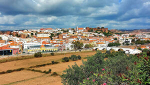 Silves engages community to combat climate change