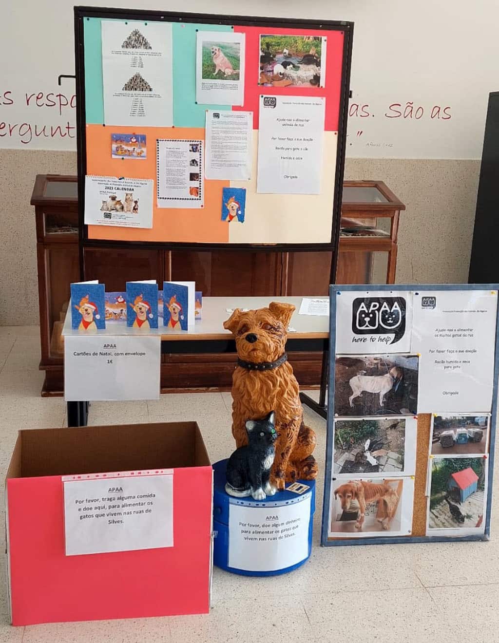 Silves Secondary School 'pop-up'|Silves ‘Lady’