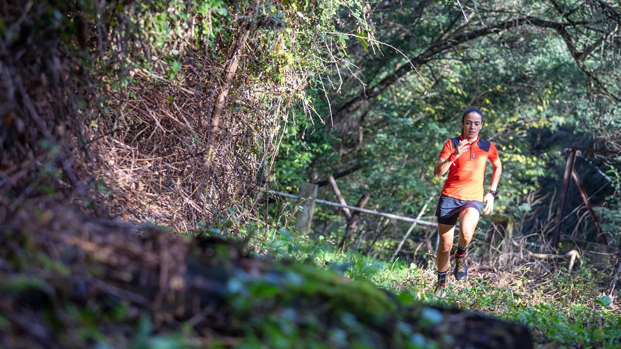 Silves running|Banner_Inscrição Exploração barrocal