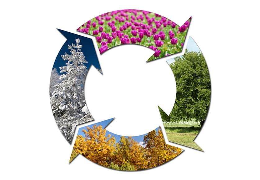 smart habits 2|smart habits 1