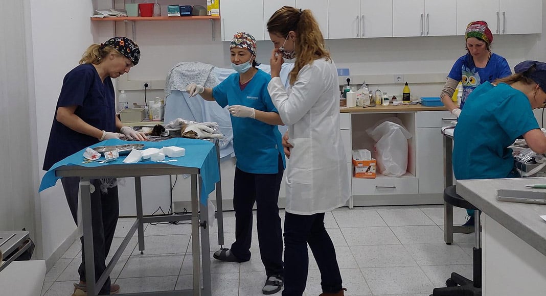 Spayathon Algarve|Spayathon Algarve|Spayathon Algarve|Spayathon Algarve|Spayathon Algarve