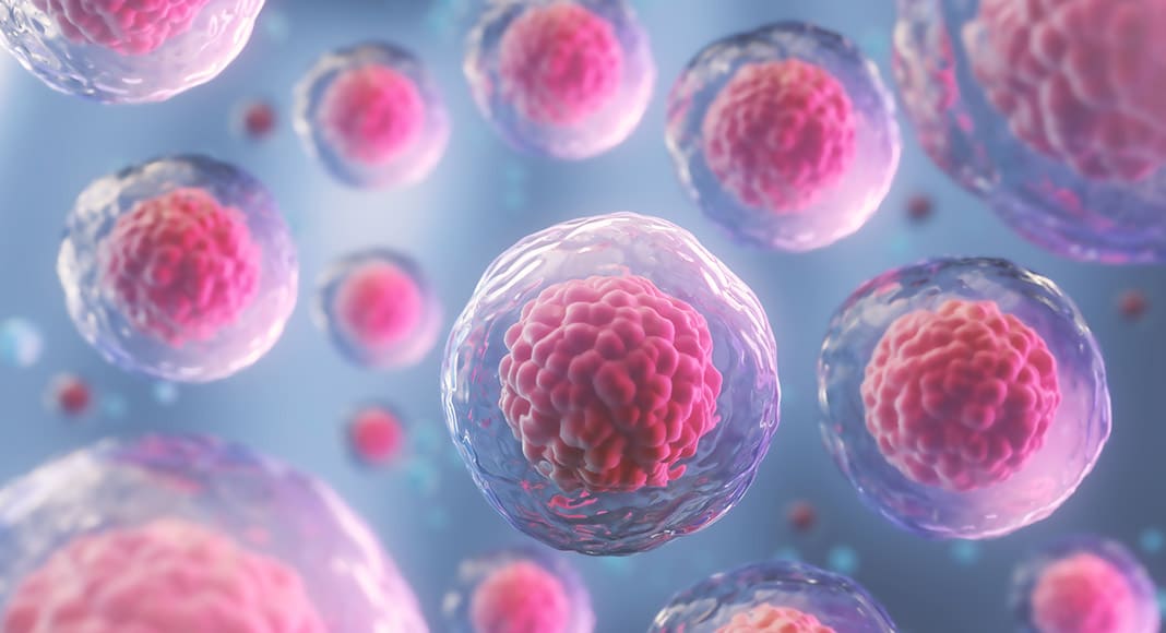 THE PROMISING FUTURE OF STEM CELLS