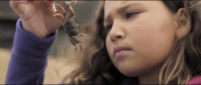 ‘Boca Cava Terra’ - local short film to screen in Portimão|Luis Campos|‘Boca Cava Terra’ - local short film to screen in Portimão|‘Boca Cava Terra’ - local short film to screen in Portimão