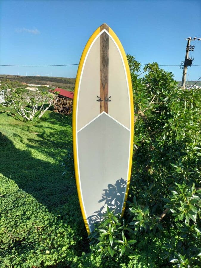 6'10'' Recycling surfboard with Agave stringer
